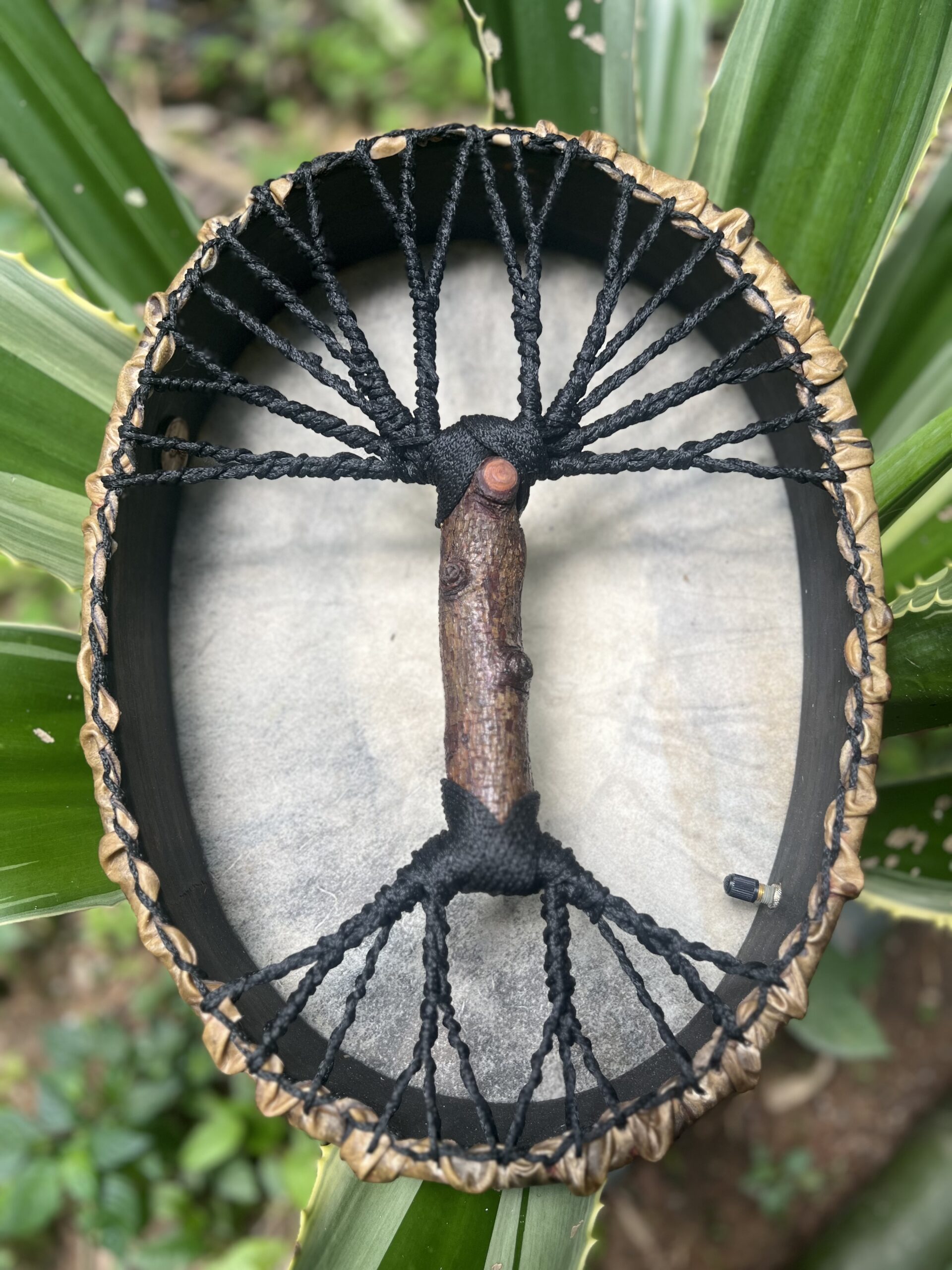 Oval shamanic drum back